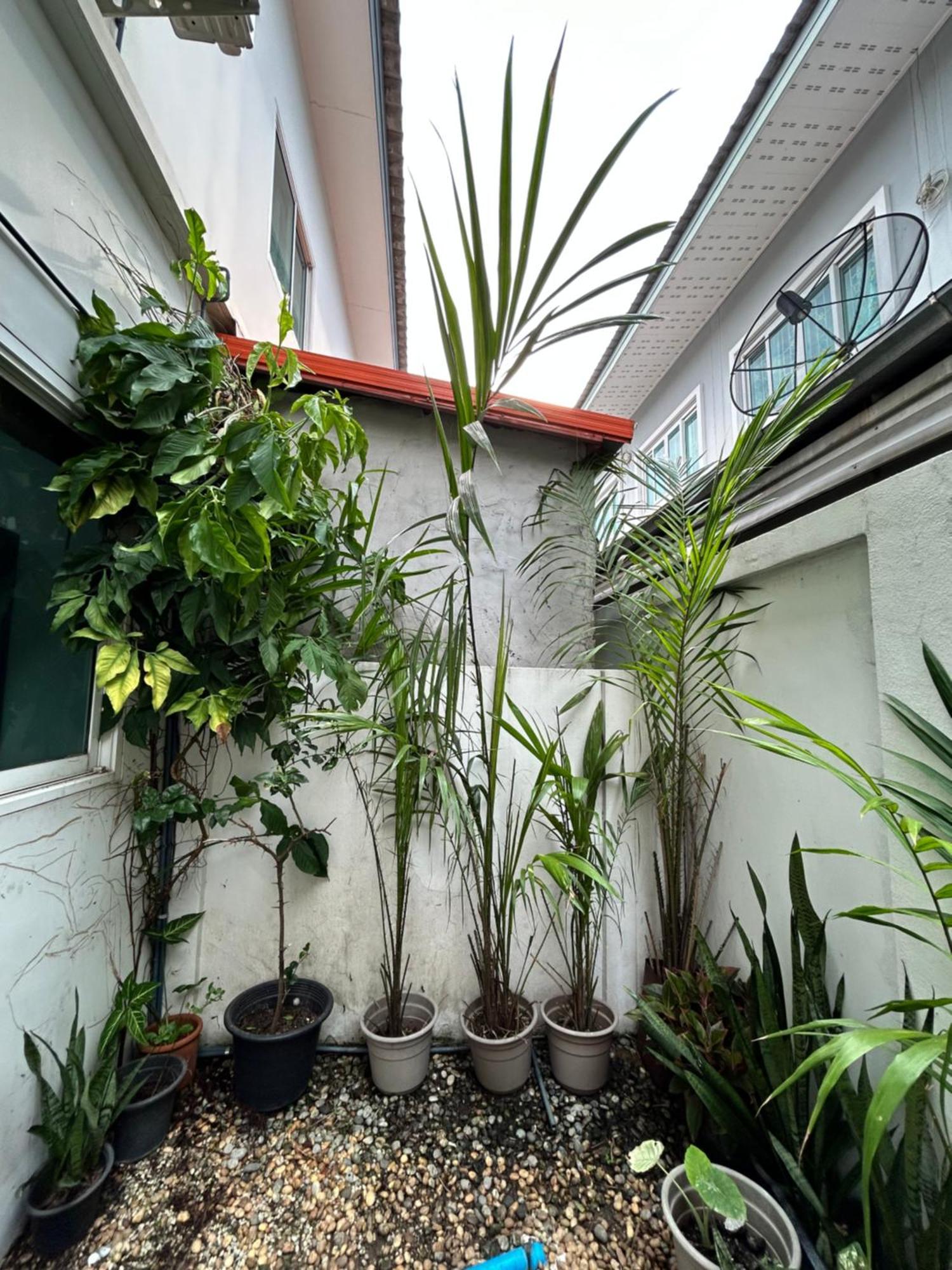 Nice Stay House At Khlong Sam Rangsit Exterior photo